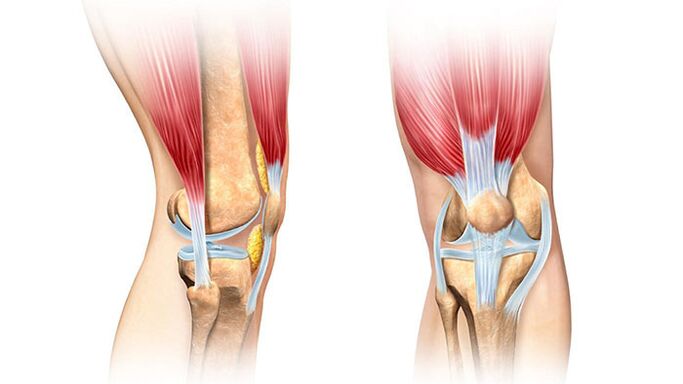 Άρθρωση γόνατος και η θεραπεία του πόνου